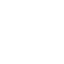 Playstation Icon