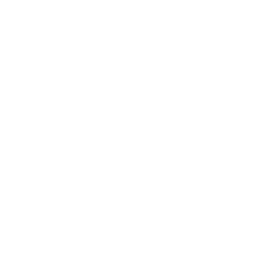 Snapchat Icon