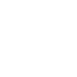 TikTok Icon